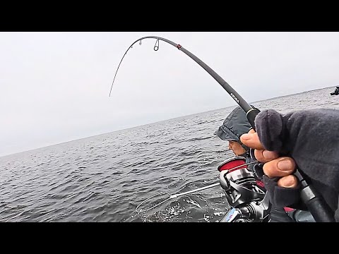 Видео: Стоянка КРУПНЯКА коли холодно / Клюють МАМОЧКИ на ПРИМАНКУ яка ШУМИТЬ