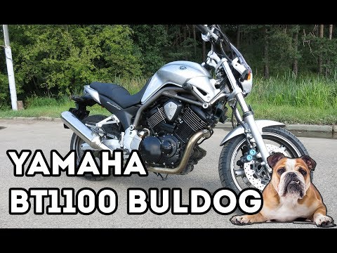 Видео: Обзор Yamaha BT1100 Bulldog