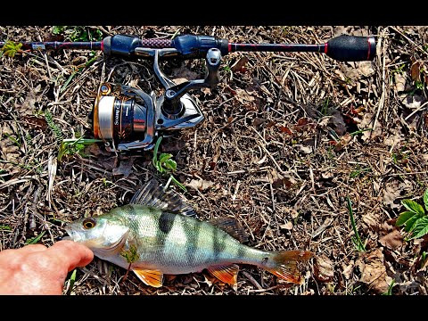 Видео: Мормышинг по-сибирски. Окуней за сотню, - обычное дело!
