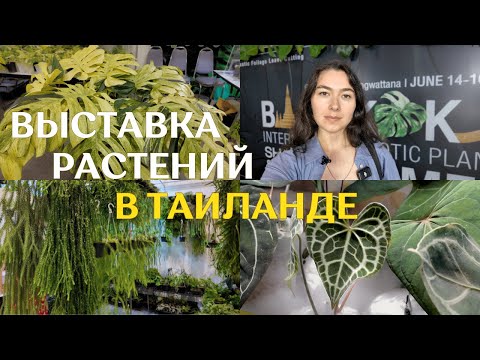 Видео: 🌿Прогулка по ВЫСТАВКЕ РАСТЕНИЙ в Бангкоке | множество ЭКЗОТИЧЕСКИХ растений🌿