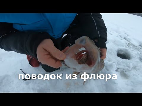 Видео: Вяжем поводок для жерлицы из флюра. Лучший поводок для ловли щуки!