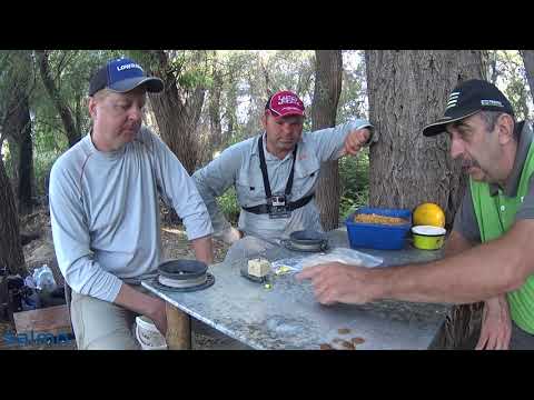 Видео: Дунайские сазаны на «бессарабский» макушатник!