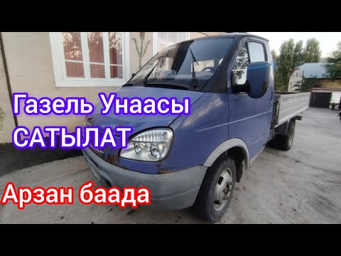 Видео: САТЫЛДЫ