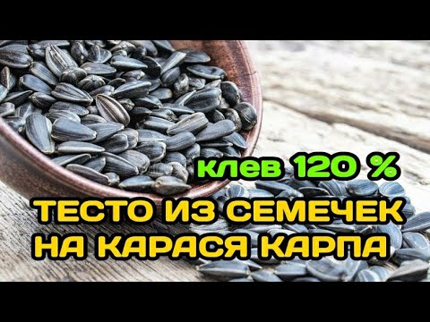 Видео: ТЕСТО ДЛЯ РЫБАЛКИ ИЗ СЕМЕЧЕК. ТЕСТО ИЗ СЕМЕЧЕК НА КАРАСЯ, КАРПА, ПЛОТВУ
