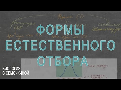 Видео: Формы естественного отбора