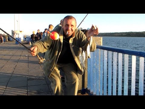 Видео: Запорожье. 06 октября 2018 г. День города . Ярмарка , Рыбалка .