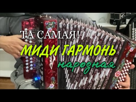 Видео: ТА САМАЯ НАРОДНАЯ МИДИ ГАРМОНЬ