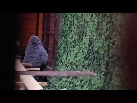 Видео: 21.10.2025 ужин. Посторонним вход запрещён? 