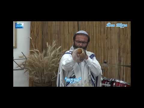 Видео: ШОФАР, звуки трубления (ткиа, шварим, труа, ткиа-гдола)