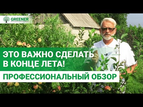 Видео: Садовые работы в августе. ОБЯЗАТЕЛЬНО СДЕЛАЙТЕ ЭТО!