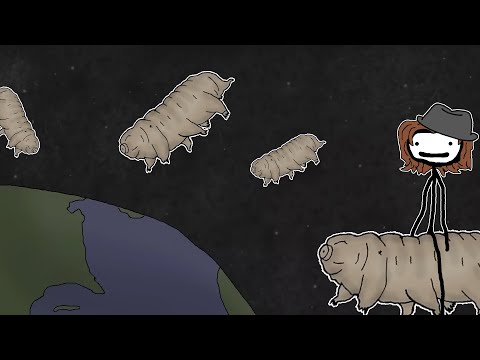 Видео: "Тихоходки - это пришельцы из космоса!" - Академия Сэма О'Неллы
