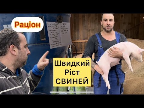Видео: РАЦІОН КОРМІВ, що ВИГІДНІШЕ,СВИНІ ростуть і в Кармані ШУРШИТЬ