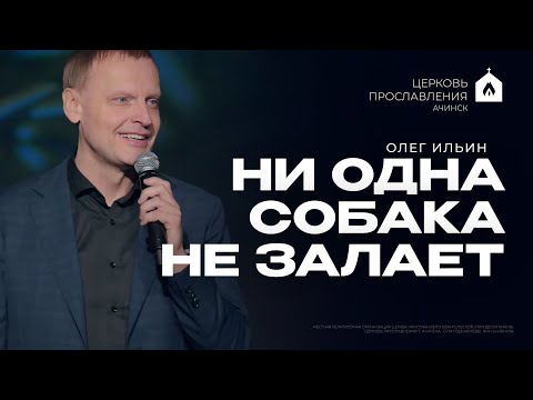 Видео: НИ ОДНА СОБАКА НЕ ЗАЛАЕТ/ОЛЕГ ИЛЬИН