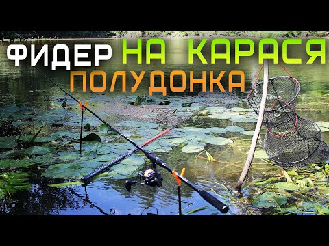 Видео: Ловля карася на фидер и полудонку / Рыбалка на реке Свислочь