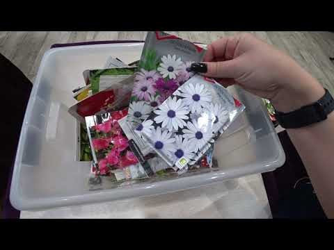 Видео: ВЫБРАСЫВАЮ ЦЕЛЫЙ ЯЩИК СЕМЯН / ЧТО ВЫБРОСИЛА И ПОЧЕМУ НЕ ПОНРАВИЛИСЬ