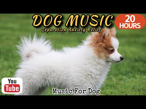 Видео: 20 часов любимой музыки собак🐶💖Музыка для сна собак 🐶🎵 Музыка для снятия беспокойства при разлуке🎵