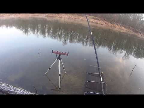 Видео: ЛОВЛЯ РАЗНОРЫБИЦЫ ПИКЕРОМ ГЛУБОКОЙ ОСЕНЬЮ