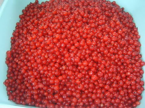 Видео: Ликёр и наливка из красной смородины. Маринкины творинки