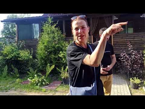 Видео: КУПИЛИ КОЗЛИКА И ПО ДОРОГЕ ПОТЕРЯЛИ