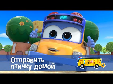 Видео: 🚌Школьный автобус Гордон. Сезон 4 - Серия 15.Отправить птичку домой - Мультфильм