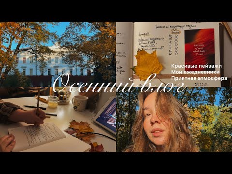 Видео: Осенний влог | Прогулка в парке | Мои ежедневники