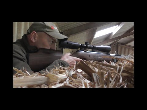 Видео: Борьба с вредителями Air Arms Pro Sport Farm Yard