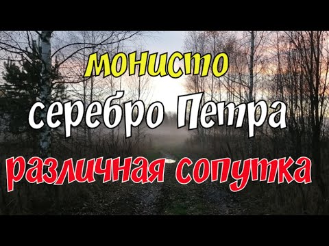 Видео: №196 Монисто, серебро Петра, различная сопутка. Поиск старины с Эквинокс 800.