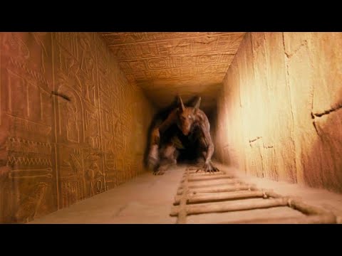 Видео: Это Существо в Египте Засняли на Камеру