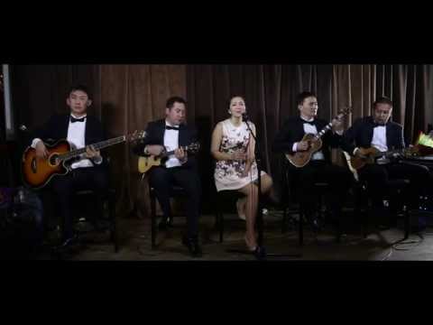 Видео: TigerFish - Чи