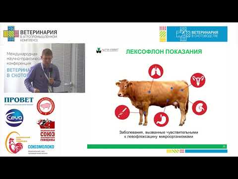 Видео: МЕЛЬНИКОВ Е. Е.  Лечение клинического мастита у коров