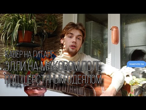 Видео: элли на маковом поле - под шерстяным одеялом/кавер/кавер на гитаре