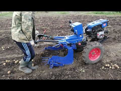 Видео: Уборка картофеля Русич 8