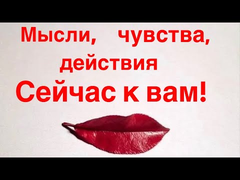 Видео: Мысли, чувства, действия сейчас к вам! ♥️