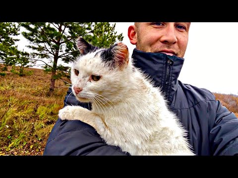 Видео: Вот так встреча! Я думал, что он пропал. Приятная неожиданность во время прогулки.