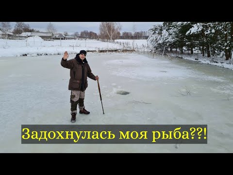 Видео: Что делать чтобы рыба не задохнулась. Опустил камеру на дно. Пруд на участке.