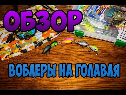 Видео: ТОП 5 убойных воблеров на голавля #2 (воблеры для ловли голавля 2016) + подводная съемка