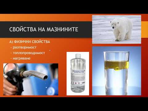 Видео: Мазнини - урок 9 клас