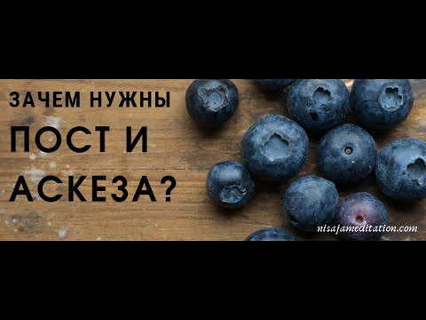 Видео: Зачем нужны пост и аскеза. Экадаши
