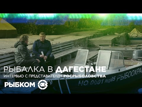 Видео: Интервью с начальником Отдела контроля, надзора и охраны ВБР Северо-Кавказского ТУ Росрыболовства