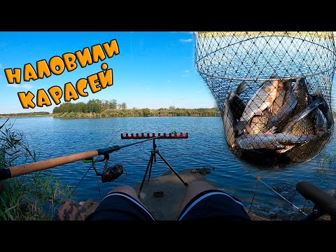 Видео: В этой реке очень много карася!Напился и упал в воду!