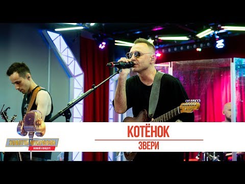 Видео: Звери - Котёнок. «Золотой Микрофон 2019»