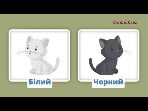Видео: Протилежності для дітей | Вивчаємо протилежності для дошкільнят.