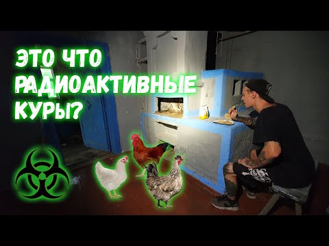 Видео: ВЫЖИВАНИЕ В ЧЕРНОБЫЛЕ! ТЕПЕРЬ У НАС ЕСТЬ КУРЫ. СТРОИМ БАНЮ И ВАРИМ ВАРЕНИКИ.