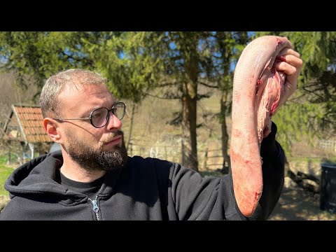 Видео: Говяжий язык пролежал в моем холодильнике 93 дня, и вот это случилось!