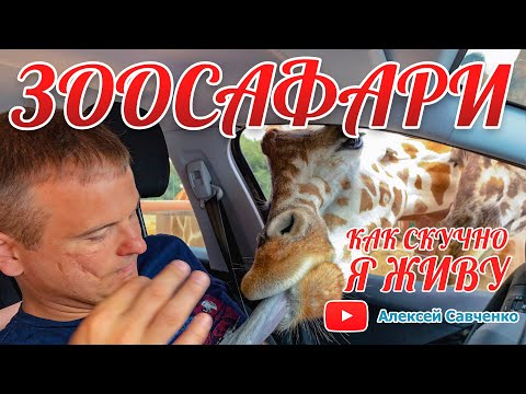 Видео: Зоосафари в Фазано "Фазаноландия" -  Итальянские каникулы - 6 часть. Zoosafari Fasano "Fasanolandia"