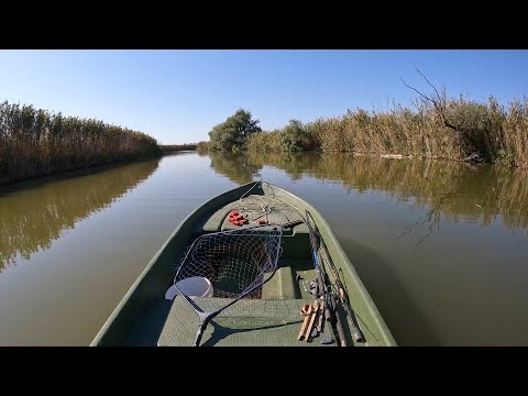 Видео: ЗАБРАЛСЯ В САМЫЕ ДЕБРИ ВОЛЖСКОЙ ДЕЛЬТЫ. САЗАНЫ НА ЖМЫХ, КРАСНОПЕРКА НА ПОПЛАВОК, ОКУНЬ НА ВОБЛЕР.