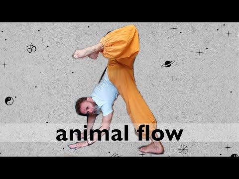 Видео: Изучаем движения из animal flow.