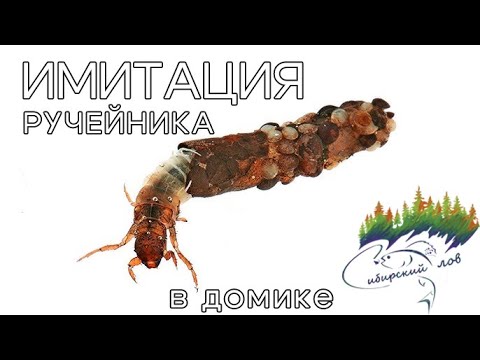 Видео: МУШКА РУЧЕЙНИК В ДОМИКЕ НА ХАРИУСА И ЛЕНКА