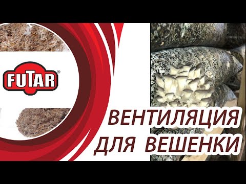 Видео: Вентиляция для выращивания вешенки, вытяжка. Условия климата, освещение и влажность для вешенки