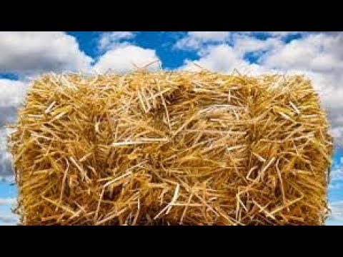 Видео: Подготовка курятника к зиме. Тёплая подстилка из соломы.